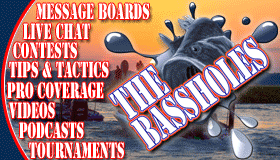 Company Logo the bassholes