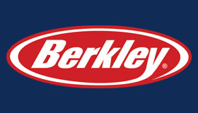 Company Logo berkley